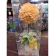 東京都板橋区花かずの花　プリザーブドフラワー(クリアケース付)RoseRouge