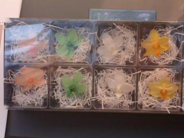 cimg27381