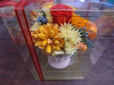 cimg3536