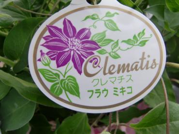 cimg5326