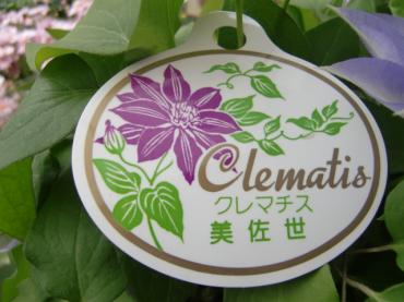 cimg5328