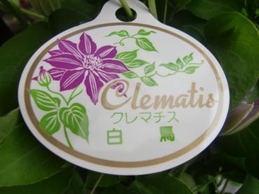 cimg5332