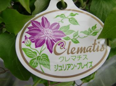 cimg5334