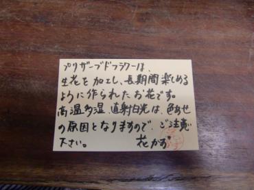 cimg5922
