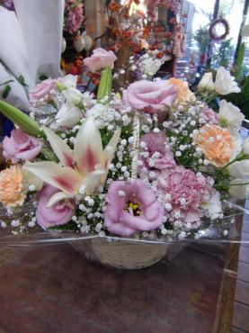 cimg00291