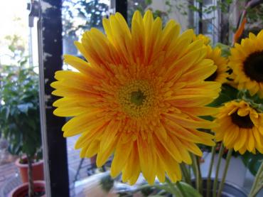 cimg0039