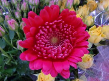 cimg0052