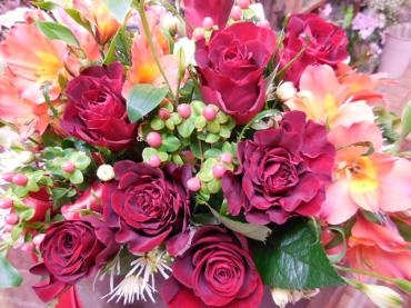 dscn04131