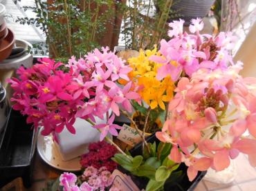 dscn0416