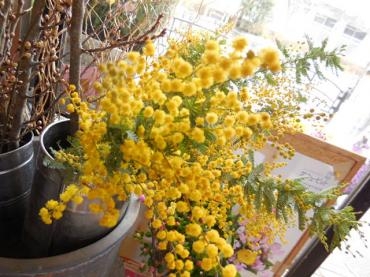 dscn0418