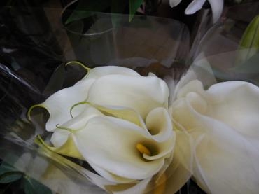 dscn0423