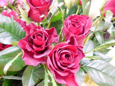 dscn0424