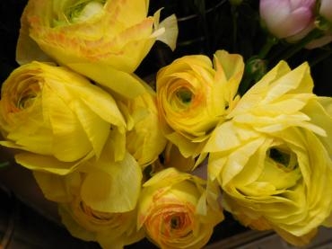 dscn0427