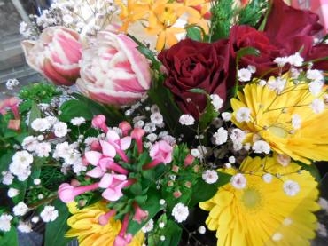dscn0434