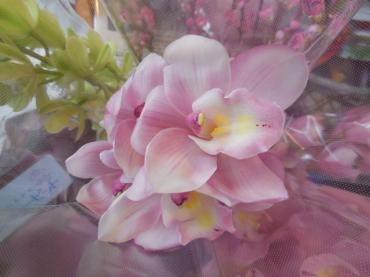 dscn0436