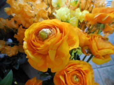 dscn0437