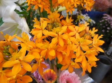dscn0444