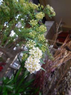 dscn0446