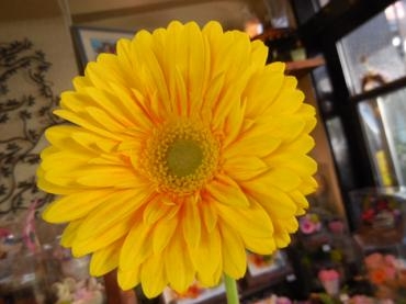 dscn0447