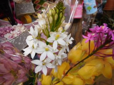 dscn0620