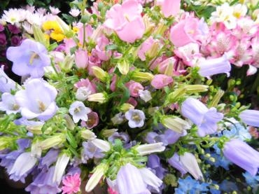 dscn0628