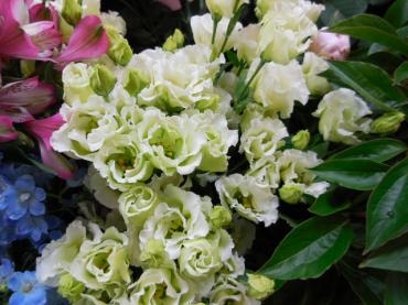 dscn0631