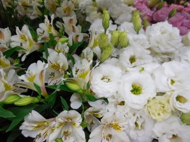 dscn0632