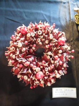 dscn06621