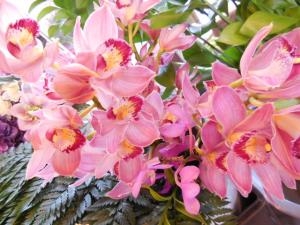 dscn06861