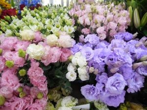 dscn06871