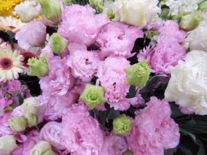 dscn06901