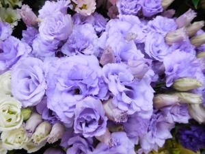 dscn06911