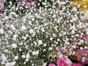 dscn06961