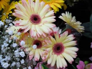 dscn06971
