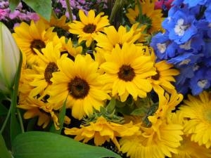 dscn06981