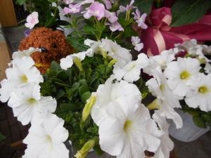 dscn07051