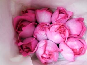 dscn0716