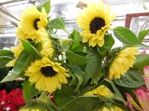 dscn07211