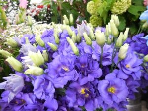 dscn0724