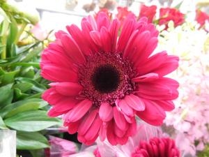 dscn0726