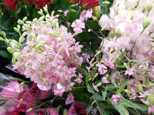dscn0728
